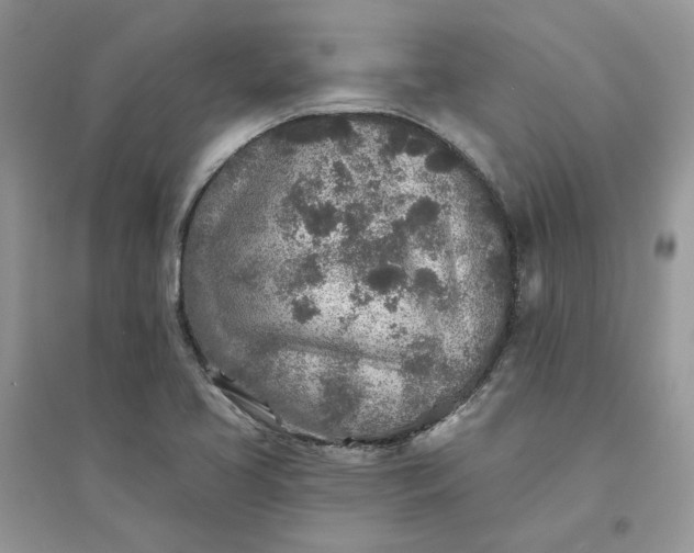 X0000096171413200802011308