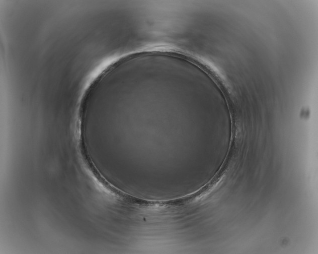 X0000096171414200802011308