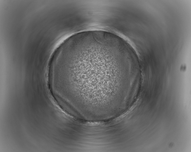 X0000096171415200802011308