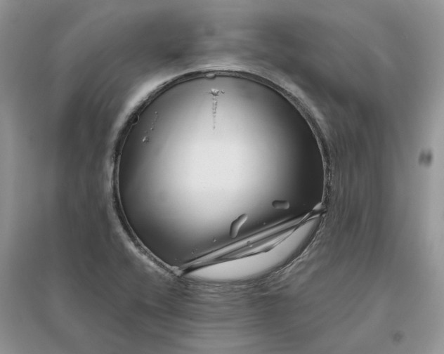 X0000096171416200802011308