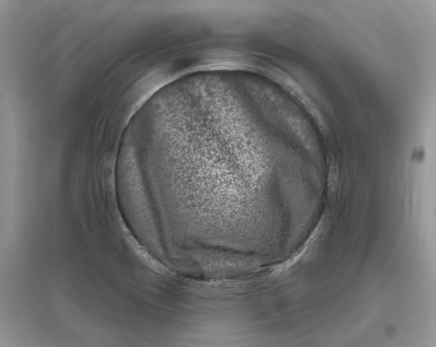 X0000096171417200802011308