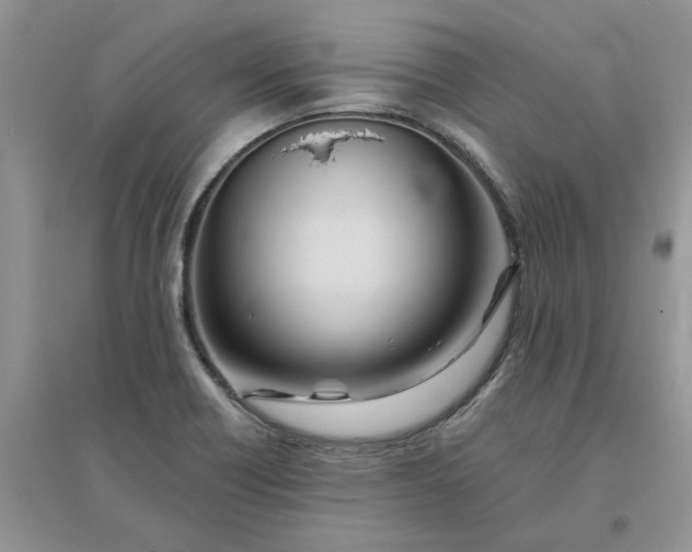 X0000096171418200802011308