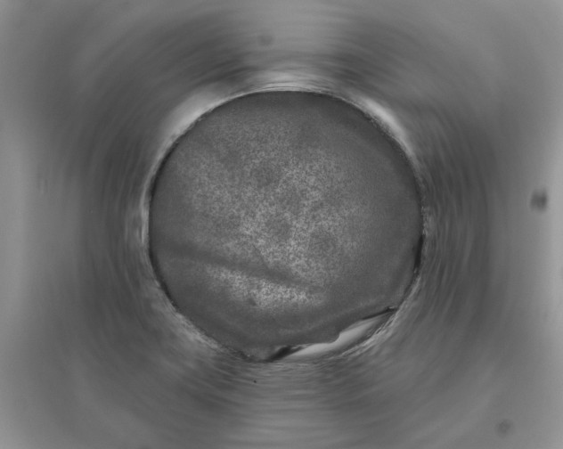 X0000096171419200802011308