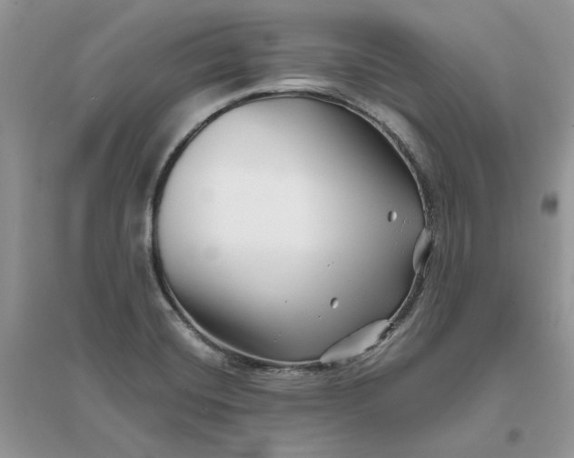 X0000096171420200802011308