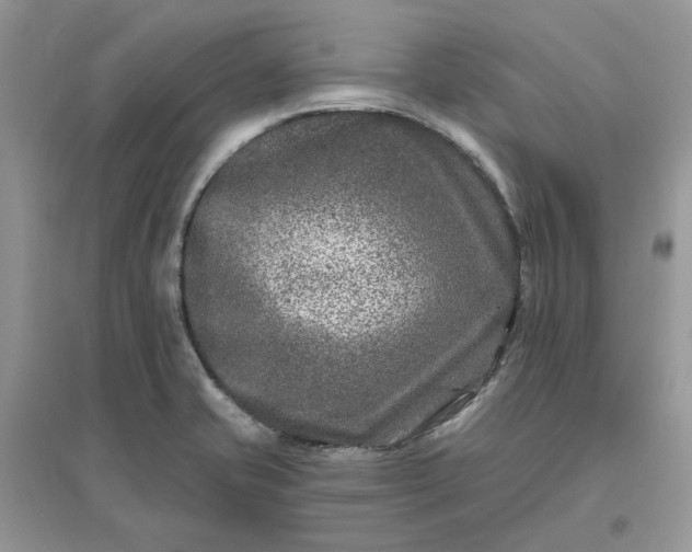 X0000096171421200802011308