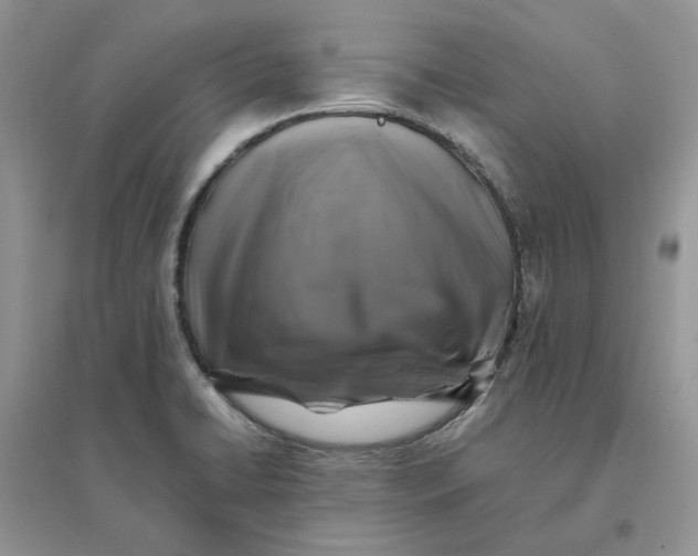 X0000096171422200802011308