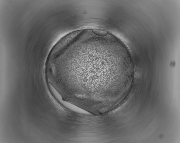 X0000096171423200802011308