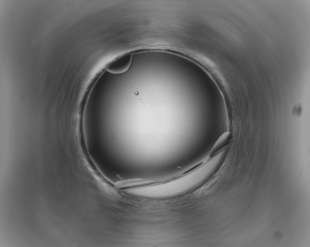 X0000096171424200802011308