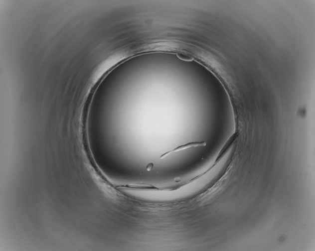 X0000096171426200802011308