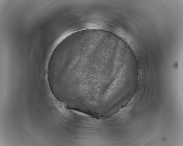 X0000096171427200802011308