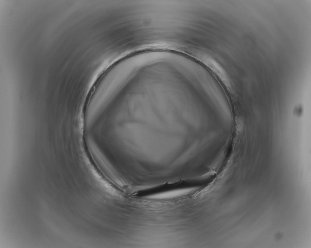 X0000096171428200802011308