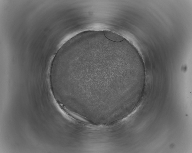 X0000096171429200802011308