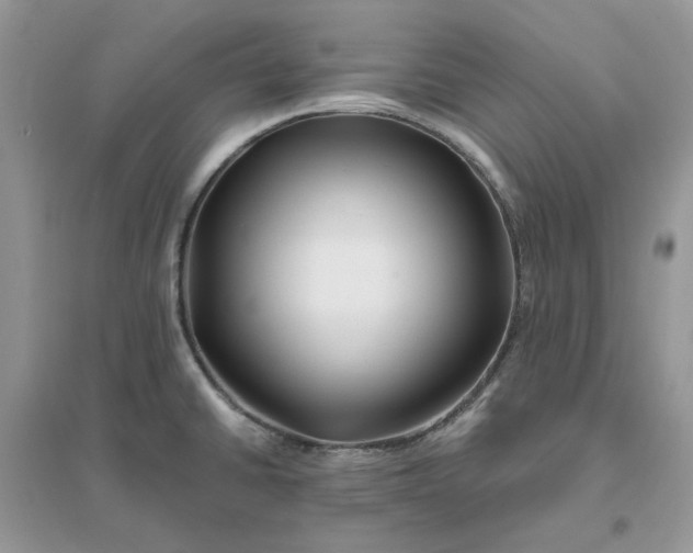 X0000096171430200802011308