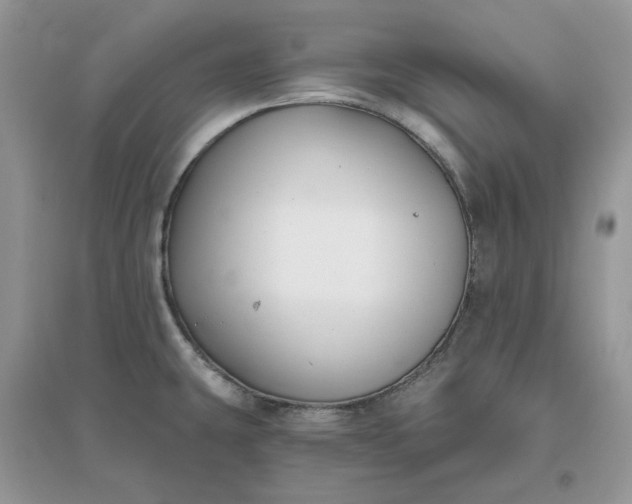 X0000096171431200802011308