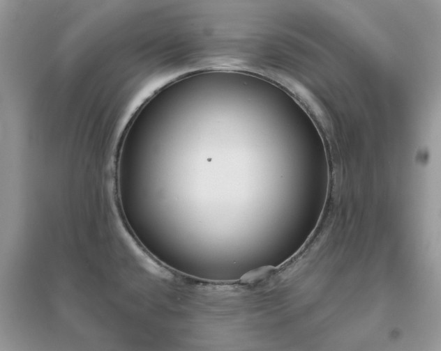 X0000096171432200802011308