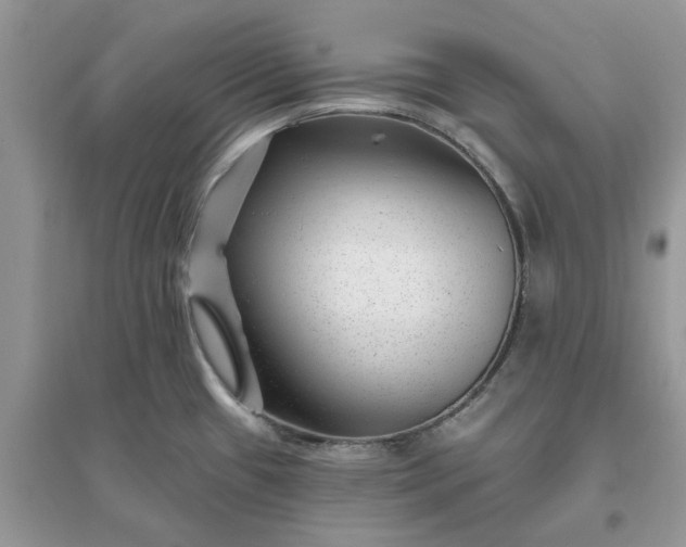 X0000096171433200802011308