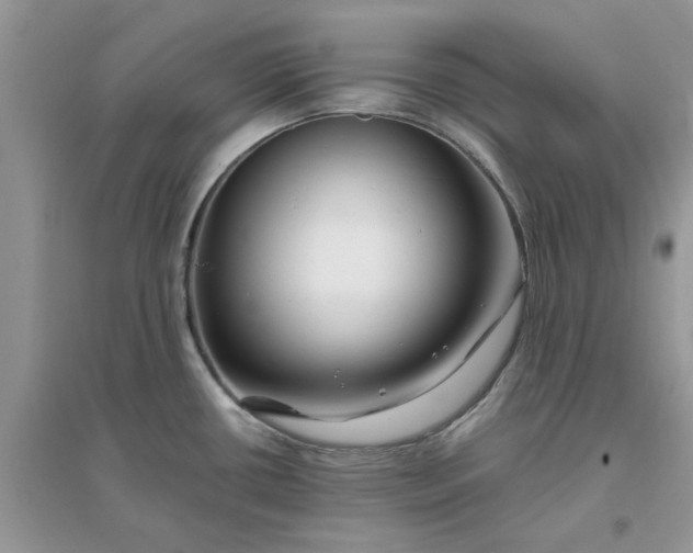 X0000096171434200802011308