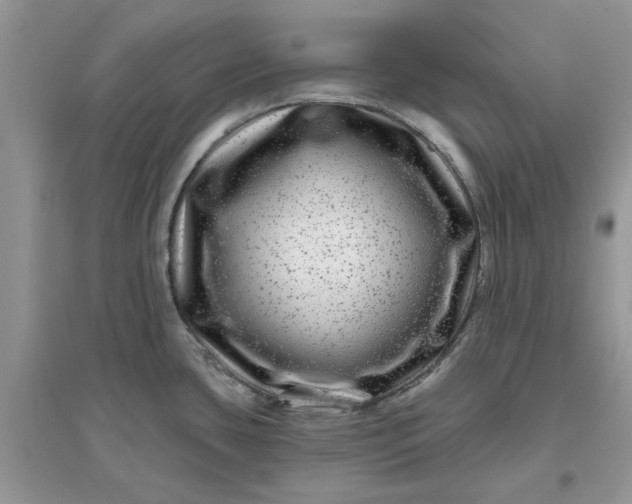 X0000096171435200802011308