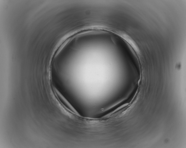 X0000096171436200802011308