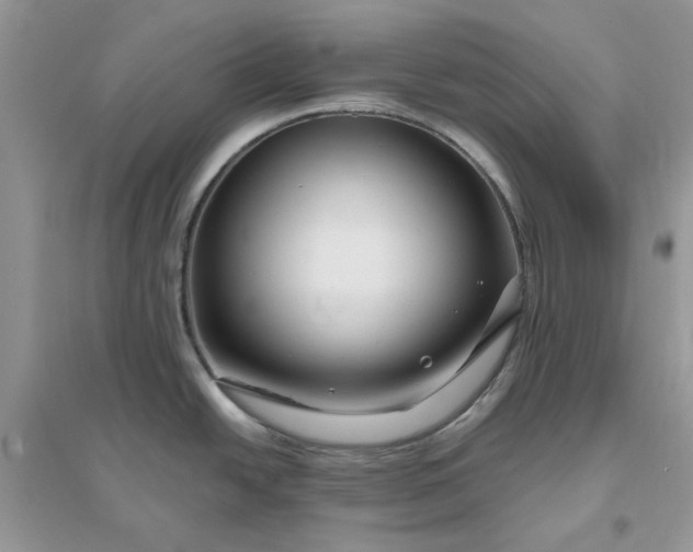 X0000096171438200802011308