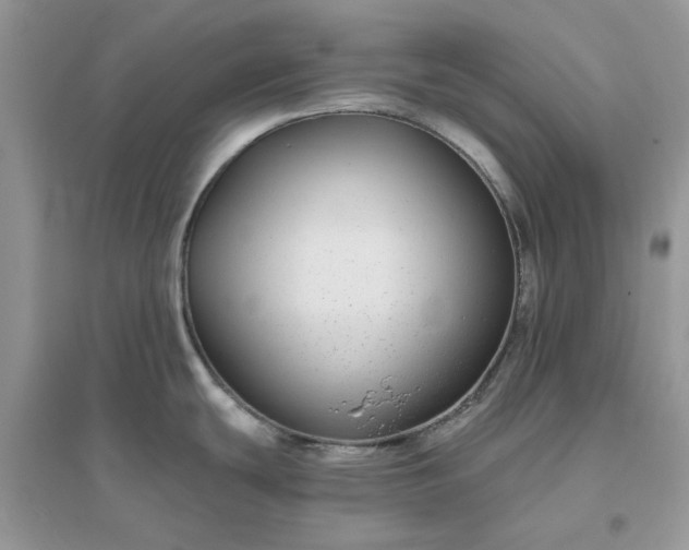 X0000096171439200802011308