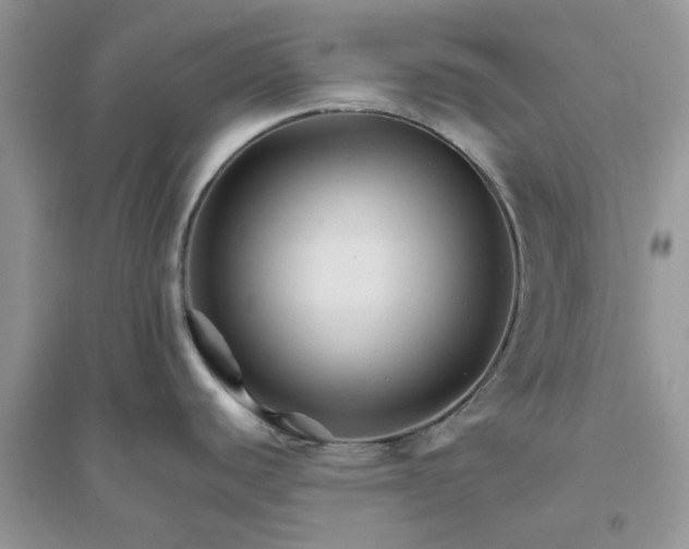 X0000096171440200802011308