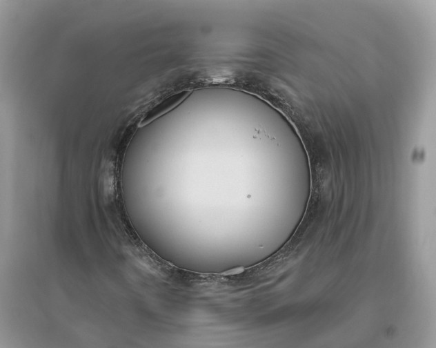 X0000096171442200802011308