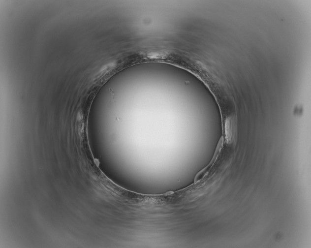 X0000096171443200802011307