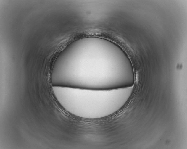 X0000096171444200802011307