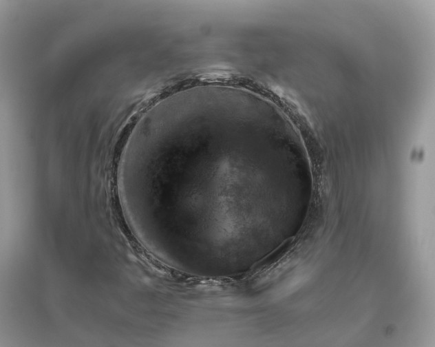 X0000096171445200802011307