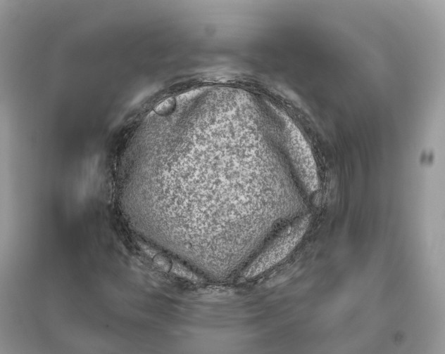 X0000096171446200802011307