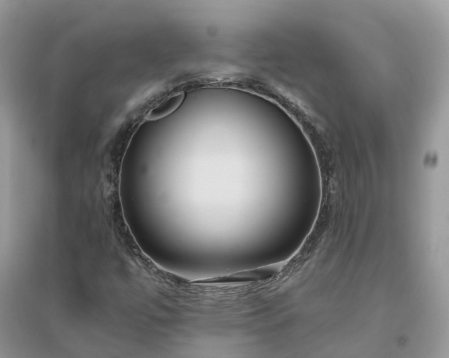 X0000096171447200802011307