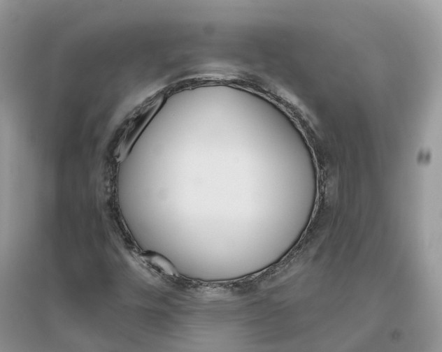 X0000096171448200802011307