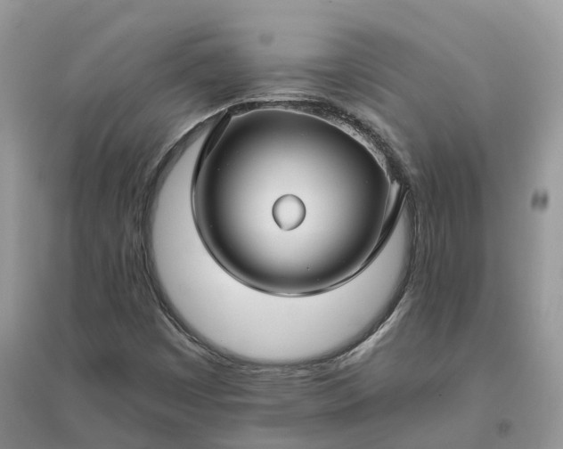 X0000096171449200802011307