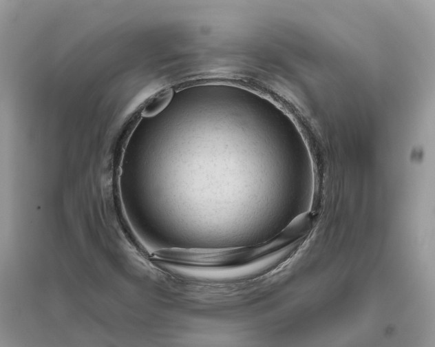 X0000096171450200802011307