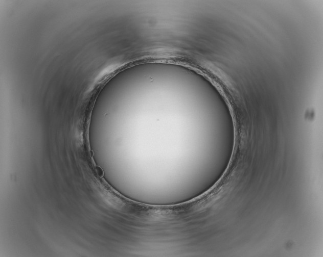 X0000096171451200802011307