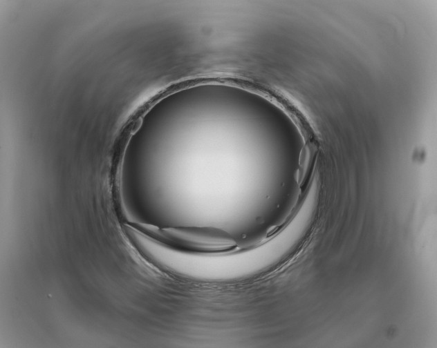 X0000096171452200802011307