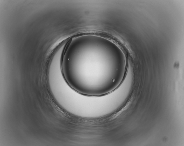 X0000096171453200802011307