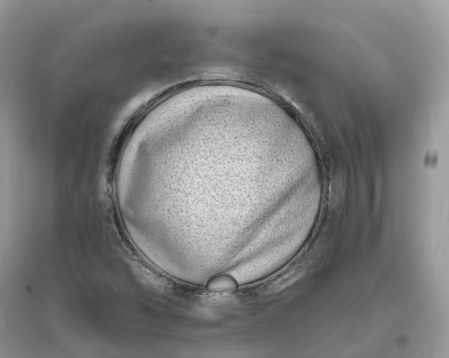 X0000096171454200802011307