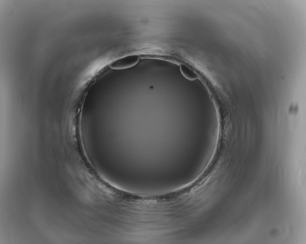 X0000096171455200802011307