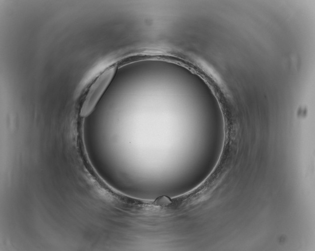 X0000096171456200802011307