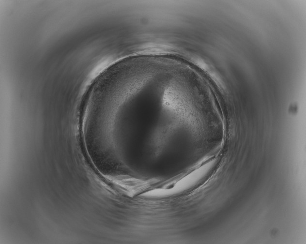 X0000096171459200802011307