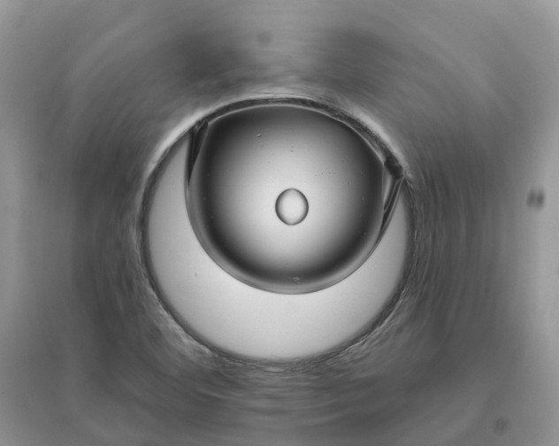 X0000096171460200802011307