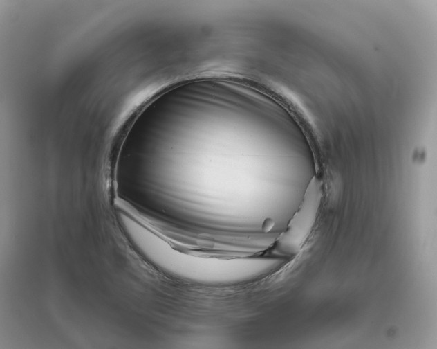 X0000096171461200802011307