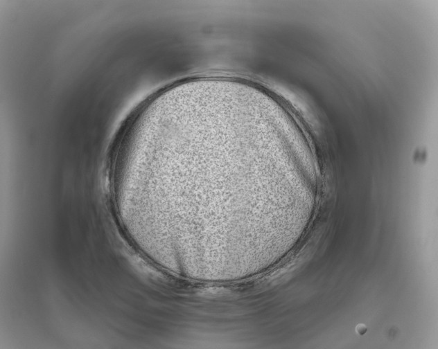 X0000096171462200802011307