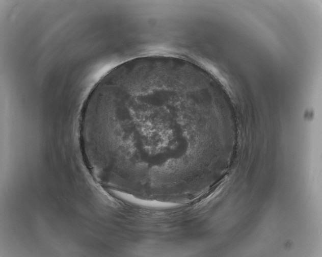 X0000096171463200802011307