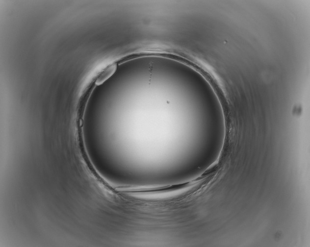 X0000096171464200802011307