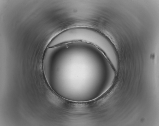 X0000096171465200802011307