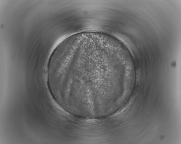 X0000096171467200802011307