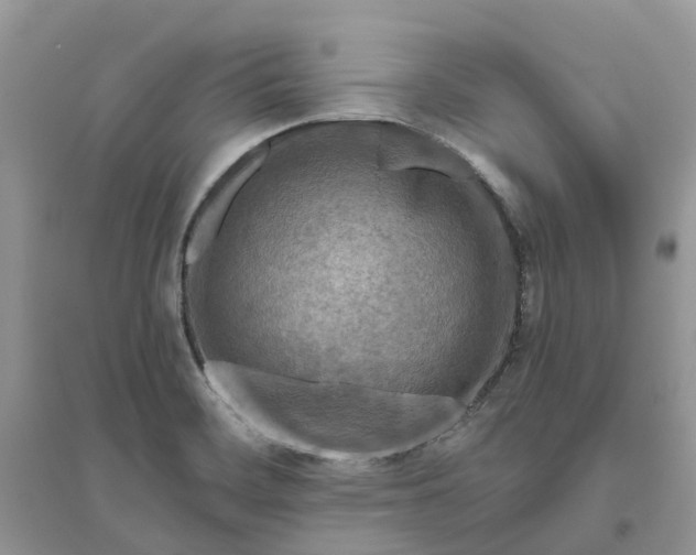 X0000096171468200802011307